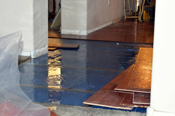 Professional Burst Pipe Cleanup technician working in Schulenburg, TX